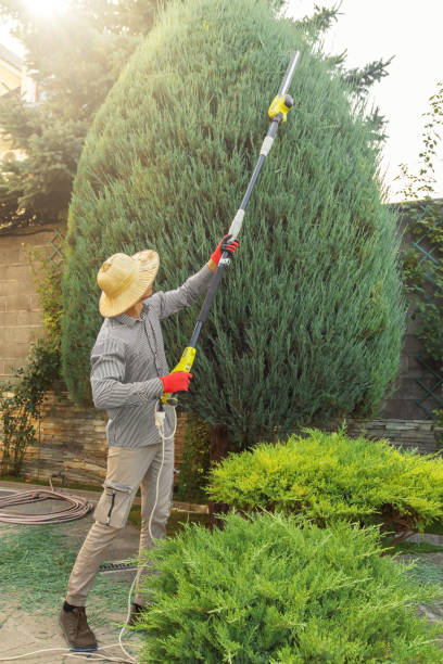 Best Lawn Pest Prevention  in Graham, NC